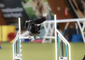 Be the flow Atomiix Tyra