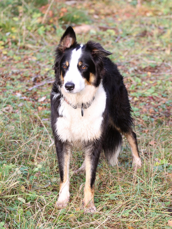 Rita