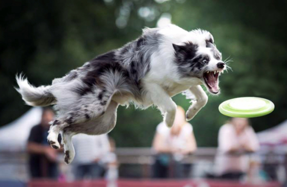 R' Orinoco Flow Forest Land Chilabo