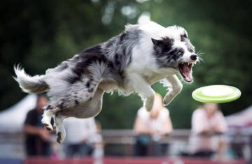 R' Orinoco Flow Forest Land Chilabo