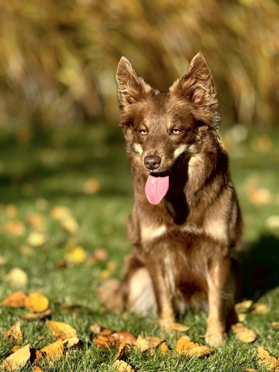 Riverwild Be Like Karmenzita Karma