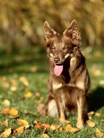 Riverwild Be Like Karmenzita Karma