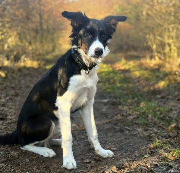 Tiopental LeGa ex Family Geluzee