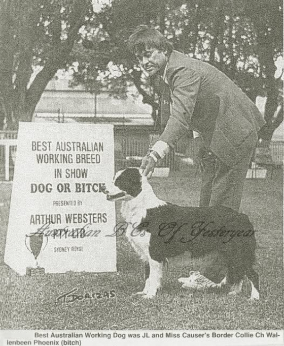 Wallenbeen Phoenix