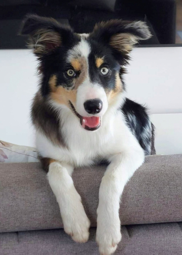 Whisper Vom Haus Seiffert