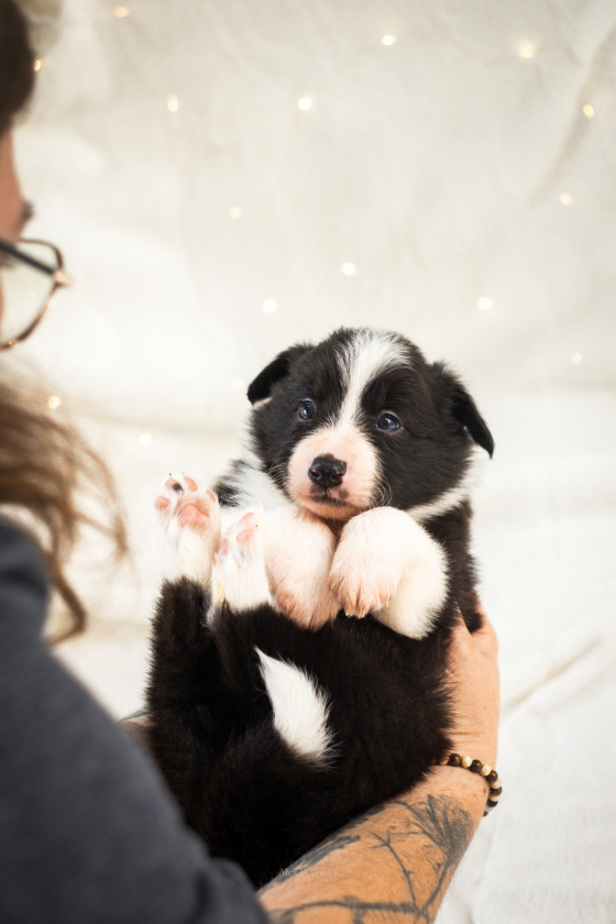Apple Crumble Twizzlers