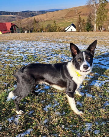 Nobel Z Hrubej Siklawy