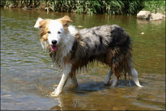 Pretty Woman Z Cernobilych