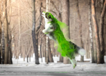 Fler De Lya Passion s Fabriki Gryoz