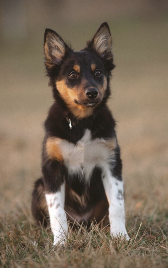 Every Road Is A Story When You're Full of Wool