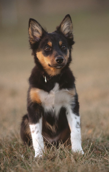 Every Road Is A Story When You're Full of Wool