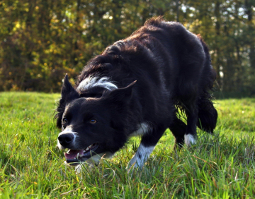 Beat Vom Rauhen Ostseewind