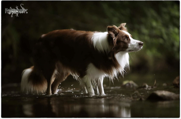 A Touch of Life Aljosha Pearls of Stonefields