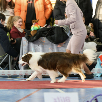 Seventy Seven See You Soon