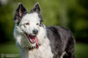 Never Never Land Milky Way