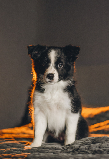 Businka Beskonechnogo Vostorga