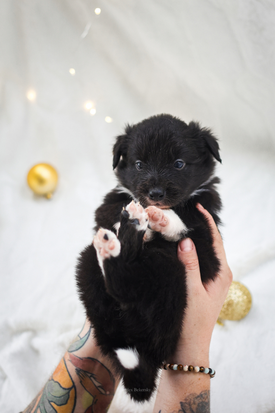 Amazing French Toast