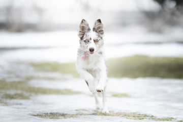 Feel The Vibe With Vilya Fly With Flow