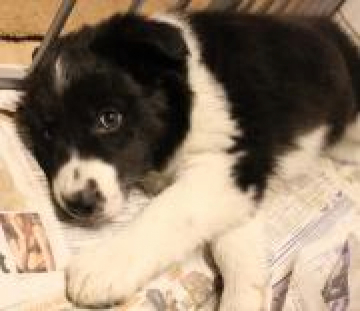 Marshonelle Light Me Up