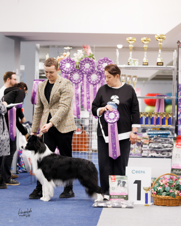 Smart As A Whip Dark Secret