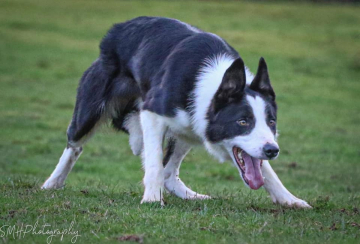 Pen-Y-Dre Nick