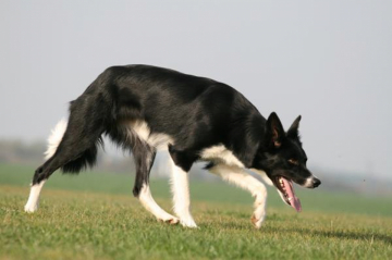 Trust Your Heart Dark Haylee