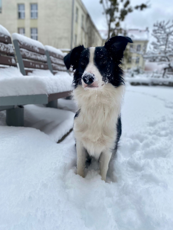 Endless Power C'est La Vie