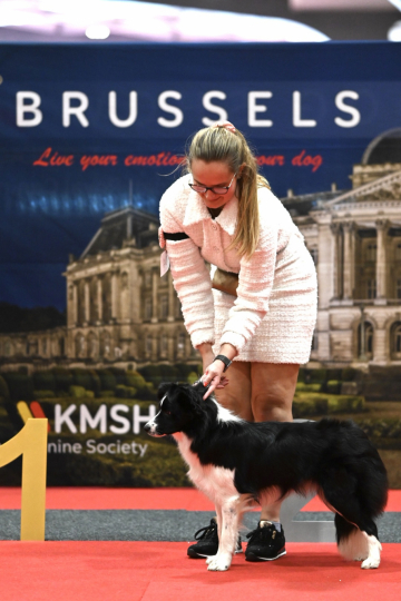 Mystic Realms Your Diamond Icefall