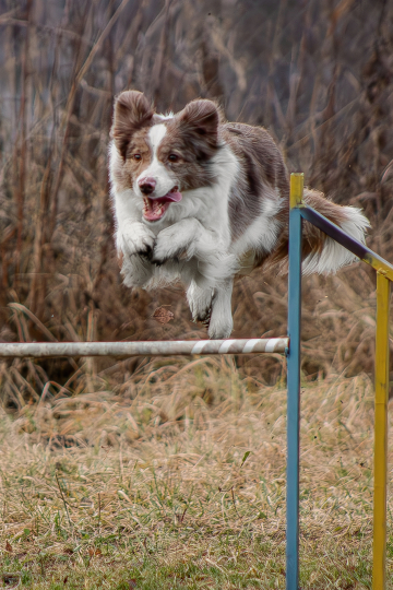 Let It Shine Life Energy