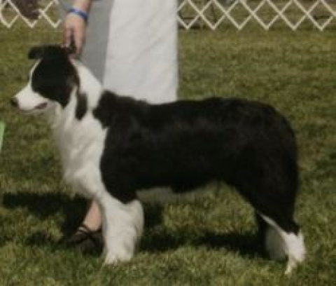 Prairie Fires Aristrocrat Wyoming Princess