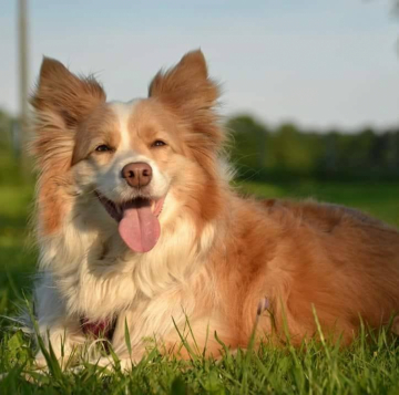 Nice Of You To Come Bye Hip Hop