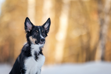 Say the Spell I Stand Tall 'Cause I Know I'm A Winner