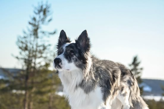 Lapinhullun Parasta Just Nyt