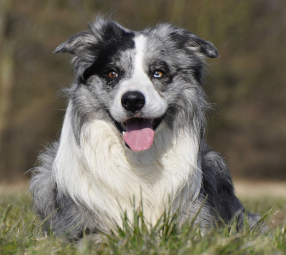 A Pirates Quest vom Soester Land