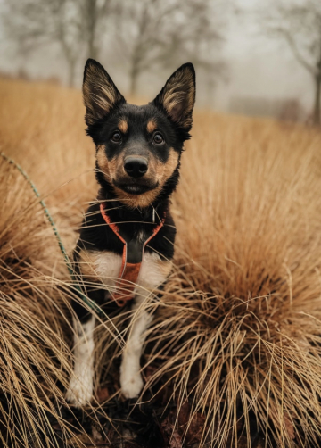 Every Road Is A Story When You're Full of Wool