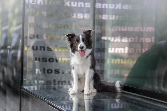 Bozena Zoe von Bocorom