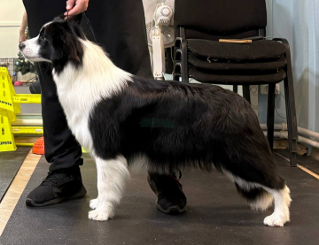 Hidden Bo La Femme Fatale