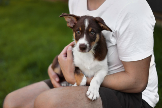 Avid Runner No Time to Wait