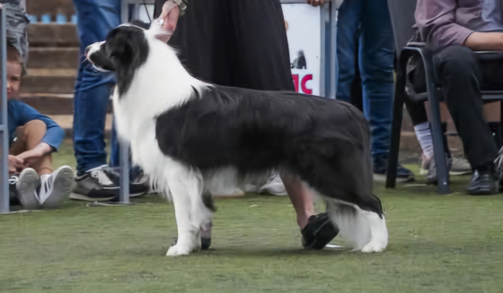 Lunar Eclipse Crixus