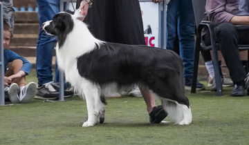 Lunar Eclipse Crixus