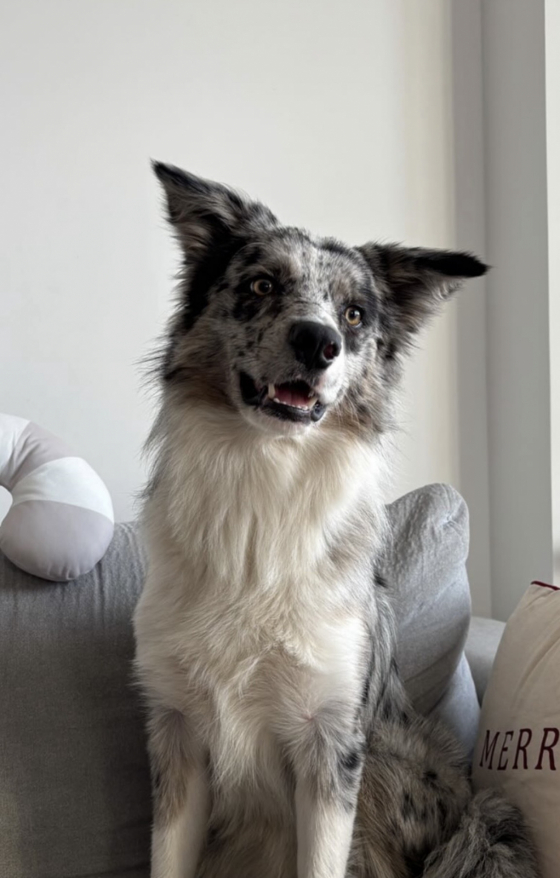 Forever Yours Aperol The Chosen One By Heart