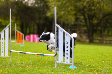 Kaleydoskop Shou Elsa Nora