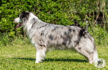 Endless Story Bailey Bohemia Alke