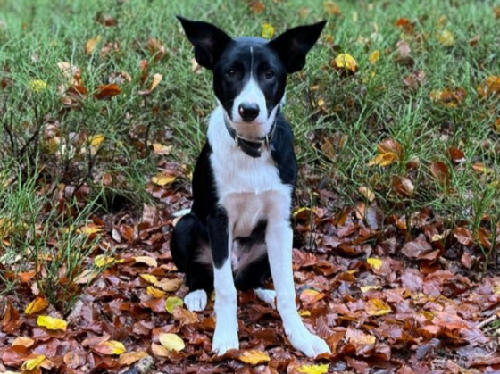 Tusical LeGa ex Family Geluzee