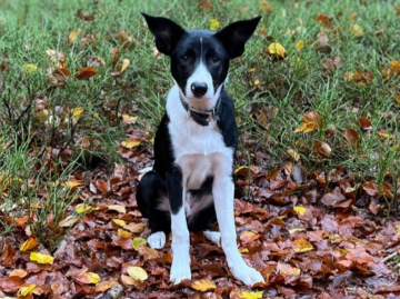 Tusical LeGa ex Family Geluzee