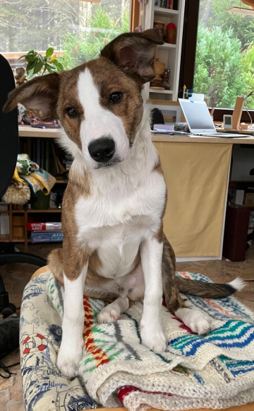 Urian Lovely Little Angel's