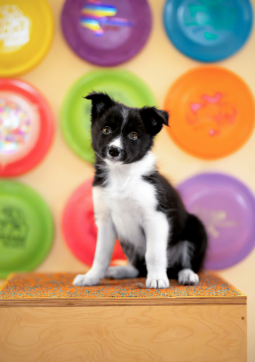 You Are The Brave Soul That Reveals The Path To Spark My Mind