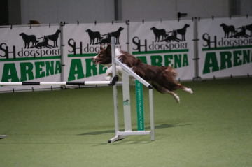 Wannahave When Paula Meets Piet