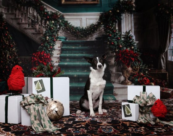 Bijou De La Ferme Du Sideras