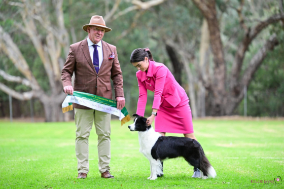 Merrinda I Made You Look